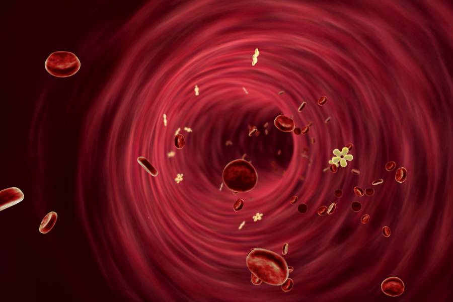 best supplement to lower blood sugar levels