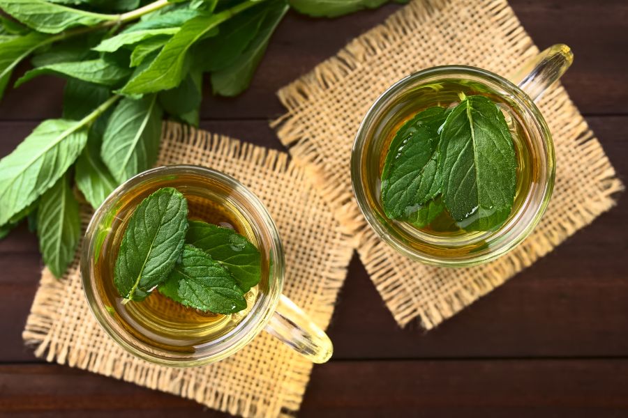 The benefits of drinking spearmint tea for PCOS
