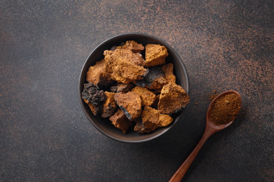 What does chaga mushroom look like?