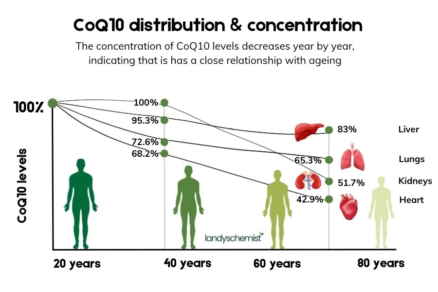 coq10 declining as we age
