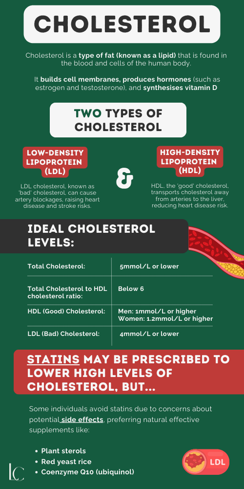 cholesterol in simple terms