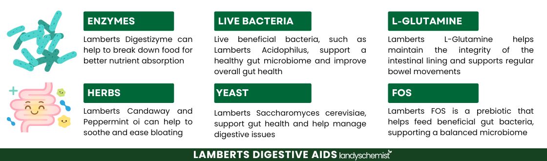 Digestive Aids Digestive Aids