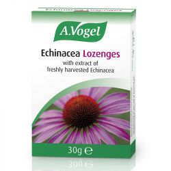 A.Vogel Echinacea Lozenges 30g