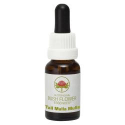 Australian Bush Flowers Tall Mulla Mulla 15ml
