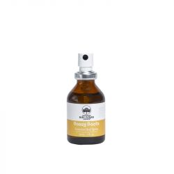 Australian Bush Flowers Bossy Boots Oral Spray 30ml
