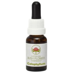  Austalian Bush Flowers Travel Essence & Aromatherapy Roll-on 10ml
