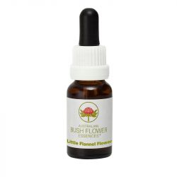 Australian Bush Flowers Little Flannel Flower 15ml
