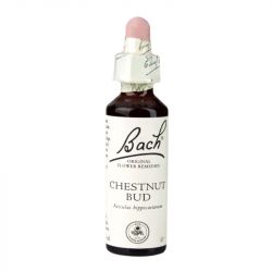 Bach Original Flower Remedies Chestnut Bud 20ml 