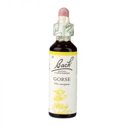 Bach Original Flower Remedies Gorse 20ml 