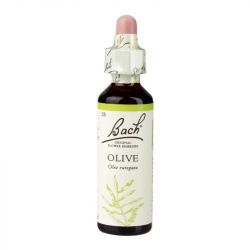 Bach Original Flower Remedies Olive 20ml 