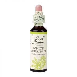 Bach Original Flower Remedies White Chestnut 20ml 