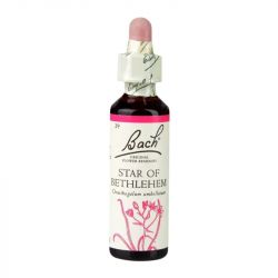 Bach Original Flower Remedies Star of Bethlehem 20ml 