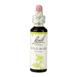 Bach Original Flower Remedies Wild Rose 20ml 