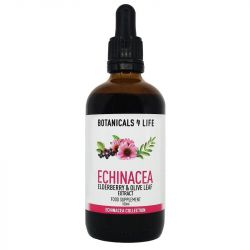 Botanicals4Life Echinacea