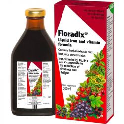 Floradix Liquid Iron Formula 500ml