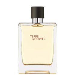 Hermes Terre d'Herm√®s Eau de Toilette 100ml
