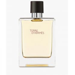 Hermes Terre d'Hermès Eau de Toilette 100ml