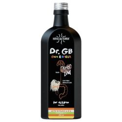 Hifas da Terra Dr. GB Gut & Brain 250ml