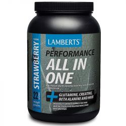 Lamberts Performance All in One 1450g