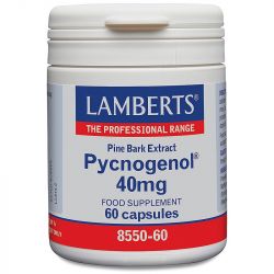 Lamberts Pycnogenol Capsules 60