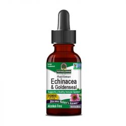 Nature's Answer Echinacea Root + Golden Seal Alcohol Free 30ml