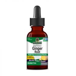 Nature's Answer Ginger Root 