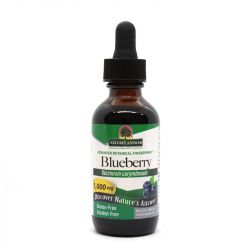 Nature's Answer Blueberry Fruit 60ml