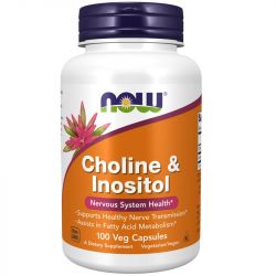 NOW Foods Choline and Inositol 500mg Capsules 100