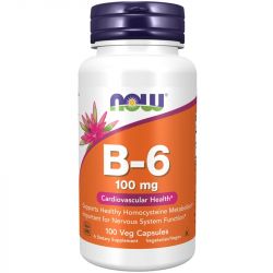 NOW Foods Vitamin B-6 100mg Capsules 100