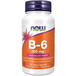 NOW Foods Vitamin B-6 100mg Capsules 100
