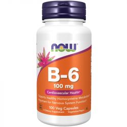 NOW Foods Vitamin B-6 100mg Capsules 100
