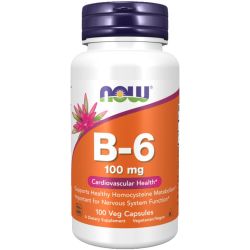 NOW Foods Vitamin B-6 100mg Capsules 100
