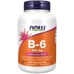 NOW Foods Vitamin B-6 100mg Capsules 250

