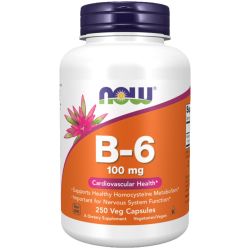 NOW Foods Vitamin B-6 100mg Capsules 250
