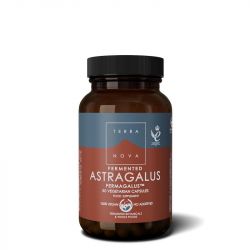 Terranova Fermented Astragalus Fermagalus Capsules 50