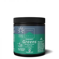 Terranova Green Child Sneaky Greens Shake Powder