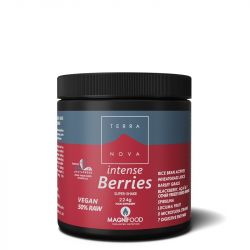  Terranova Intense Berries Super Shake Powder 