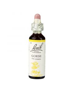 Bach Original Flower Remedies Gorse 20ml 