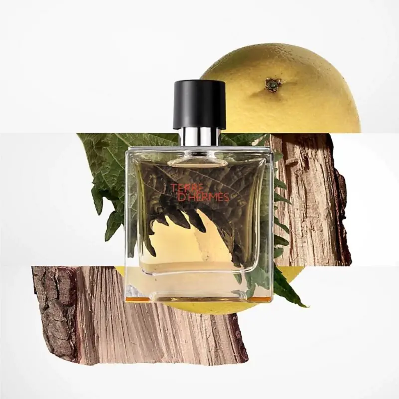 Hermes Terre d'Hermès Pure Perfume 75ml | Landys Chemist