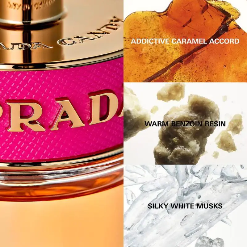 Prada Candy Eau de Parfum 80ml | Landys Chemist