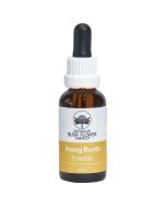 Australian Bush Flowers Bossy Boots Essence 30ml
