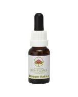 Australian Bush Flowers Dagger Hakea 15ml
