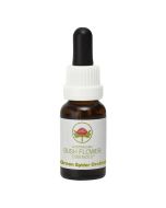 Australian Bush Flowers Green Spider Orchid 15ml
