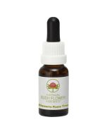 Australian Bush Flowers Illawarra Flame Tree 15ml
