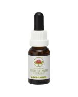 Australian Bush Flowers Jacaranda 15ml
