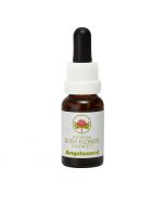 Australian Bush Flowers Angelsword 15ml
