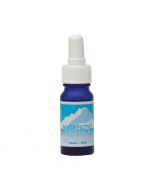 Australian Bush Flowers Antarctic Essence 10ml