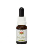 Australian Bush Flowers Bluebell 15ml
