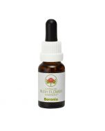 Australian Bush Flowers Boronia 15ml
