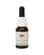  Austalian Bush Flowers Travel Essence & Aromatherapy Roll-on 10ml